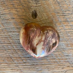 Petrified wood heart